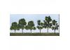 JTT 92119 Deciduous Sycamore, 2.5 to 4.5, N to HO-Scale, (20 per pack)
