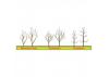 JTT 94122 Deciduous Tree Armature, 4, (3 per pack)