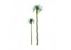 JTT 94240 Palm, 6 Inch (2 per pack)