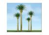 JTT 94354 Phoenix Palm, 3 Inch (3 per pack)