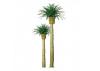 JTT 94355 Phoenix Palm, 4 Inch (2 per pack)