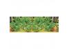 JTT 95526 Tomatoes, 1-1/2 Tall, O-Scale, (12 per pack)