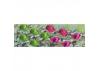 JTT 95527 Cabbage & Lettuce, 1/4 width, HO-Scale, (20 per pack)