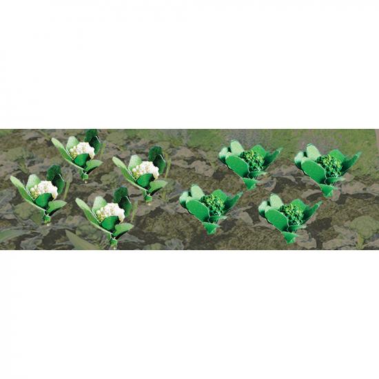 JTT 95529 Broccoli & Cauliflower, 3/8 width, HO-Scale, (20 per pack)