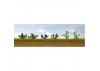 JTT 95558 Assorted Flower Plants 1, O-Scale, (10 per pack)