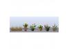 JTT 95570 Assorted Potted Flower Plants 3, O-Scale, (6 pack)