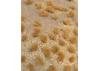JTT 95603 Golden Grassland, 5 x 7, Sheet