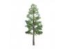 JTT 96027 Pine, 8, (1 per pack)