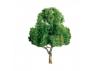 JTT 96029 Deciduous, 5-1/2, (1 per pack)