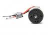 Spektrum Firma 20T Rebuildable 5-Pole Brushed Crawler Motor