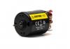 Spektrum Firma 20T Rebuildable 5-Pole Brushed Crawler Motor