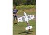 Multiplex RR AcroMaster Pro