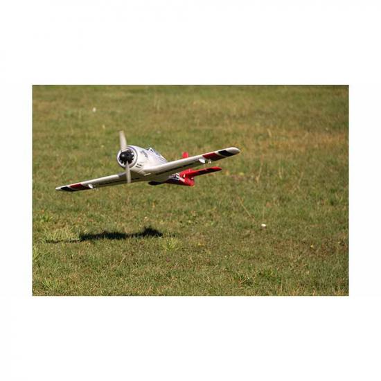 Multiplex RR RaceWulf