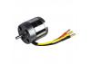 ROXXY BL Outrunner (C42-50-07)