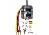 ROXXY BL Outrunner (C35-42-05)