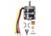 ROXXY BL Outrunner (C35-42-05)