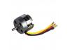 ROXXY BL Outrunner (C42-40-12)