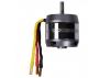 ROXXY BL Outrunner (C50-55-06)
