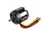 ROXXY BL Outrunner (C50-55-06)