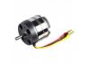 ROXXY BL Outrunner (C50-55-45)