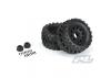 ProLine Badlands MX38 HP Belted 3.8 Tyres Mounted on Raid Black 8X32 Wheels - 17mm Hex