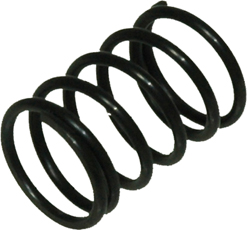Rear Shock Spring