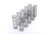 Core RC Big Bore Spring Tuning Set; Long 5prs