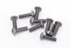 Alloy Caphead Hex Screws M3 x 10 (10)