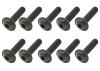 Steel Fl Caphead Hex Screws M3 x 12 (10)
