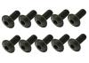 Steel Fl Caphead Hex Screws M5 x 12 (10)