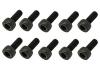 Steel Caphead Screw M3 x 6 (10)