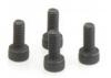 Screw Cap 2.6 x 6 (4) - X18