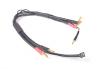 Monkey King 4mm to 4mm/5mm and 2mm 2S Balance Charge Lead (300mm)
