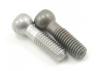 Hi Tensile Pivot Ball Screw - SST(2)