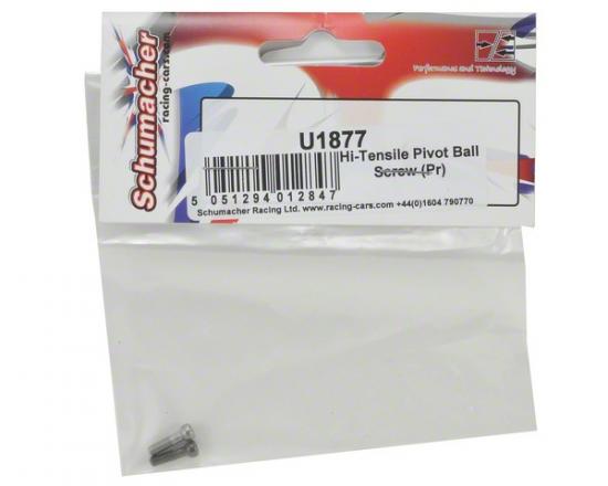 Hi Tensile Pivot Ball Screw - SST(2)