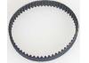 Rear Belt - R12