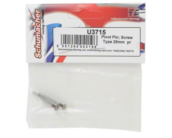 Pivot Pin; Screw Type 25mm (2)