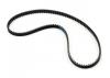 Rear Belt 119Tx6mm - CAT SX3