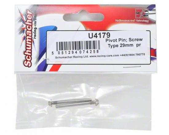 Pivot Pin; Screw Type 29mm (2)