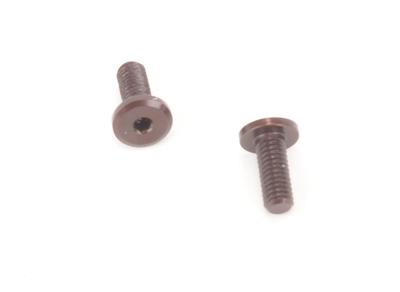 Speed Pack Servo Screws (2)