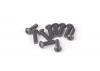 M2.5 X 8 Button Screws (10)