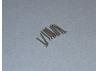 SS Pozi Pan Head Scr M2 20mm (8) - Bulk Pack Of 5