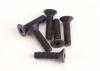 Screws - 3x12mm countersunk machine (6) (hex drive)