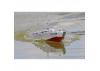 The Wooden Model Boat Company PT-109 Patrol Torpedo Boat Kit 400mm