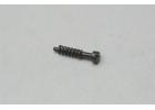 Throttle Stop Screw - (10A/10D)