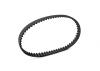 XRay Low Friction Drive Belt Rear 5.5 X 177 mm