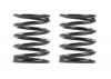 XRay 3S Spring Set C=5.5 (2) ** CLEARANCE **