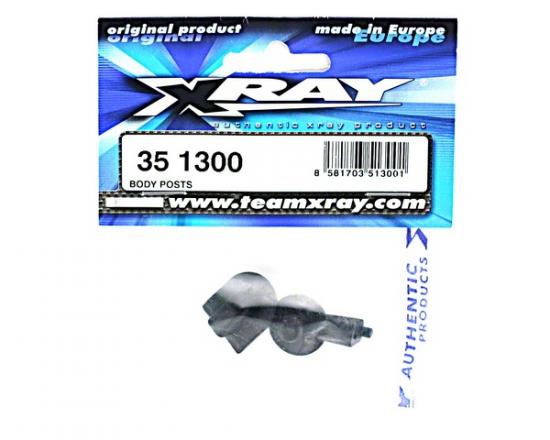 XRay Body Posts