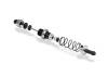 XRay Shock Absorber Set ** CLEARANCE **