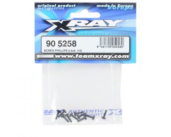 XRay Screw Phillips 2.5X8 (10)